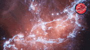 Glowing James Webb GIF by ESA Webb Space Telescope