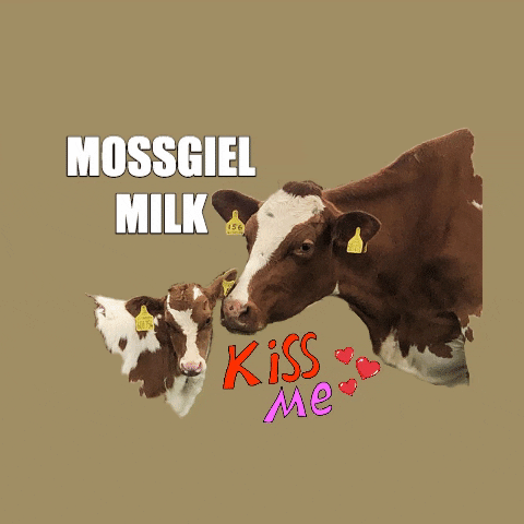 MossgielFarmMilk giphygifmaker giphyattribution mother milk GIF