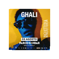 labiglietteriagallipoli concerto gallipoli ghali parco gondar Sticker