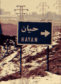 Syria Oso GIF