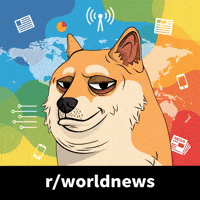 Shiba Inu News GIF by Doge Pound