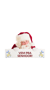 Car Noel Sticker by carequinhadasenhoor