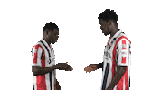 Tricolores Kingside Sticker by Willem II
