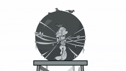Fox Flinch GIF
