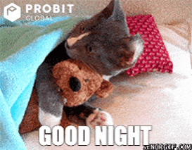 Good Night Love GIF by ProBit Global