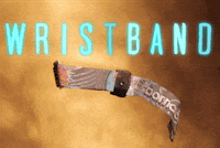 GIF by Bonnaroo Music and Arts Festival