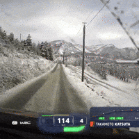 Snow Ice GIF by FIA World Rally Championship
