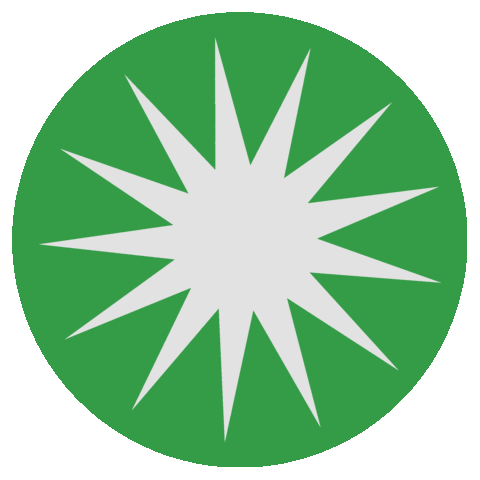 Logo Star Sticker by Bim Bam Gallery