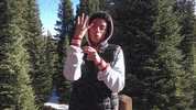 Asl Scenery GIF