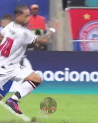 Ecvitoria Bavi GIF