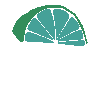 tikitaco_kc lime tikitaco Sticker