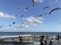 Playa Del Carmen GIF by CGTraveler - Carlos Garrido - Adventrgram