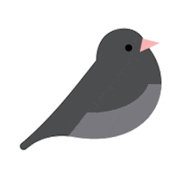 Dark-Eyed Junco Birds Sticker by National Audubon Society