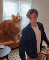 Growing Big Cat GIF