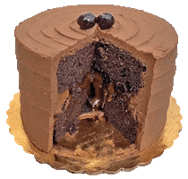 Food Chocolate Sticker by foodbabyny