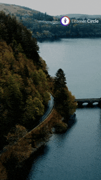 GIF by Learner Circle