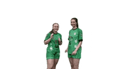 hvgwwerder handballinwerderhavel diestärkstehandimhavelland GIF