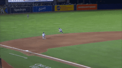 Blue Jays Baseball GIF by Toronto Blue Jays