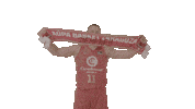 Celebrar Liga Endesa Sticker by ACB