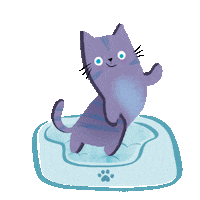 Cool Cat Cats Sticker by PenguinKids