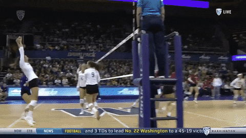Huskies College Volleyball GIF by Washington Athletics