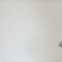 rfkracing walking america nascar american flag GIF