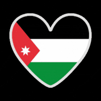 Celebration Flag GIF by All Jordan Youth Commission