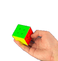 FYFT hand solved fyft wca Sticker