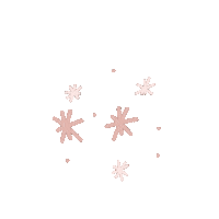 Star Shine Sticker