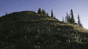 builder GIF by EchoBoom Sports