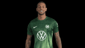 Three Points Win GIF by VfL Wolfsburg