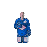 Petersen Sticker by Dresdner Eisloewen