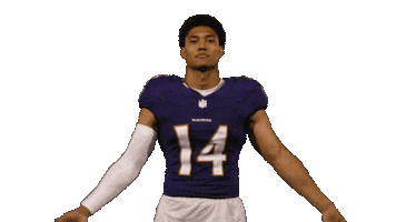 Come On Football Sticker by Baltimore Ravens