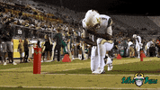 Quinton Flowers Usf GIF by SoFloBulls
