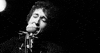 bob dylan musicians GIF