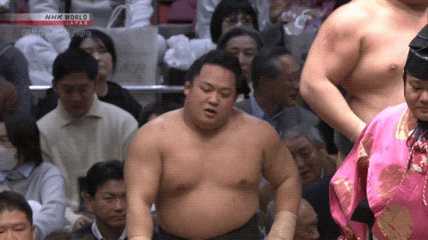 TZ85 giphyupload GIF