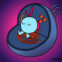 foxadhd GIF by Animation Domination High-Def