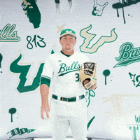South Florida Baseball GIF by USF Athletics