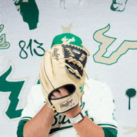 South Florida Baseball GIF by USF Athletics