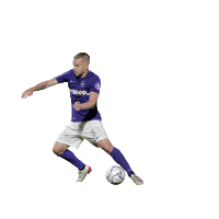 Sticker by Avante Sports