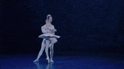 Nutcracker GIF by English National Ballet