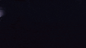 Sport Racing GIF by W Series