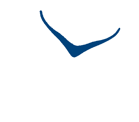 Marathon Frankfurt Sticker by HOKA Europe