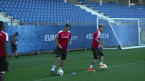 GIF by TVP.PL