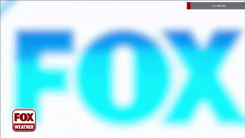 newscaststudio giphyupload GIF