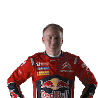 celebration yes Sticker by FIA World Rally Championship