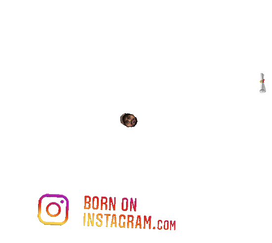 Yogesh Sticker by BORN ON INSTAGRAM