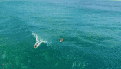 a summer to remember beach GIF by Hallmark Channel
