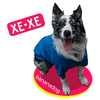 Dog Sticker by BANANADOG