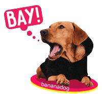 Dog Sticker by BANANADOG